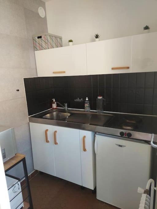 Studio Championnet, Balcon, Haut Confort Grenoble Eksteriør billede